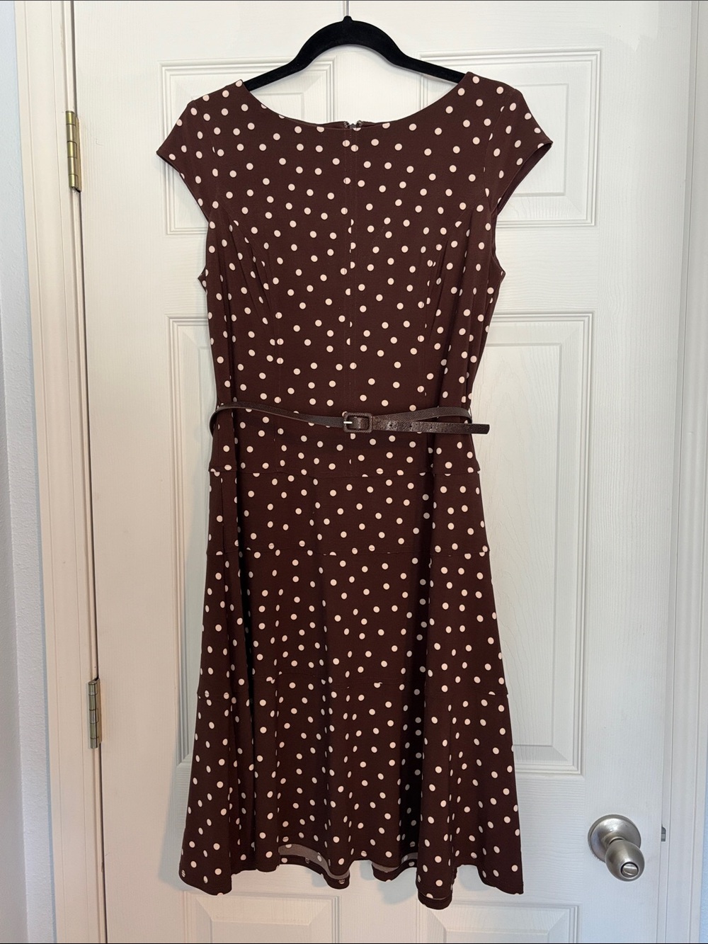 Jones Wear Brown Midi Dress with Cream Polka Dots